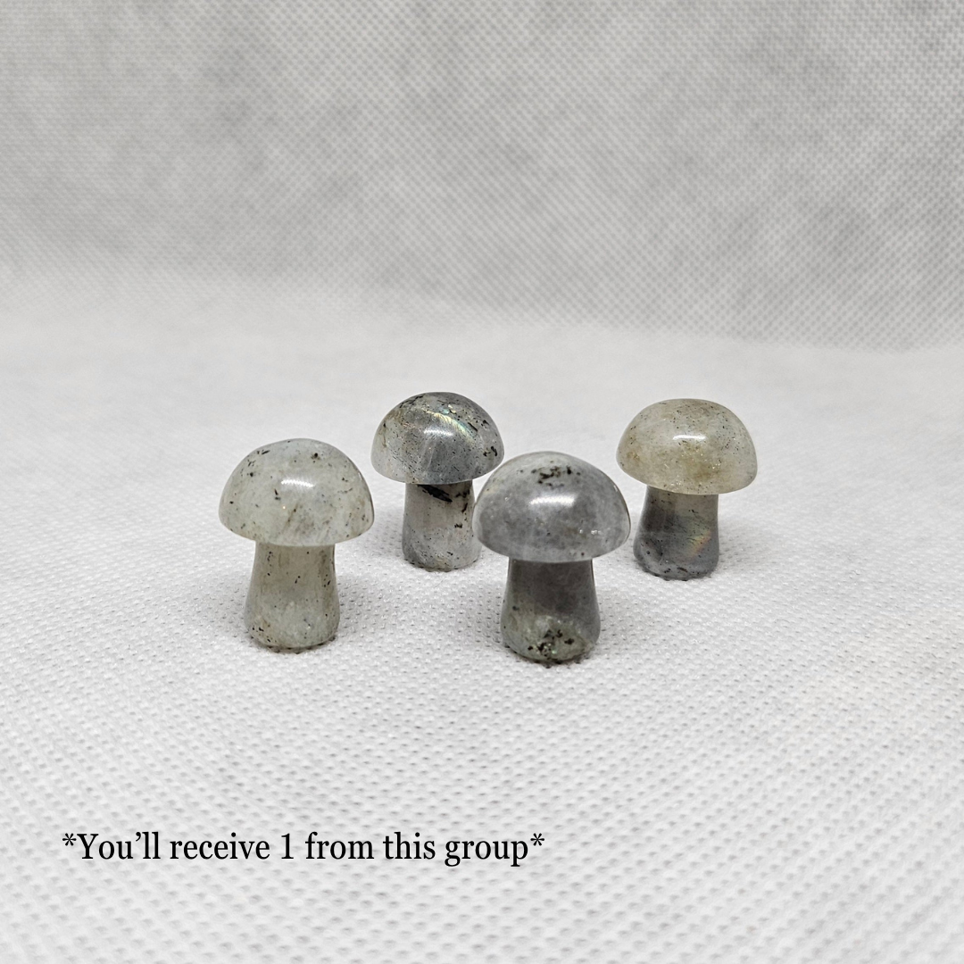 Mini Mushroom Shaped Crystals