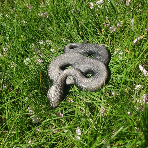 silver sheen Obsidian snakes