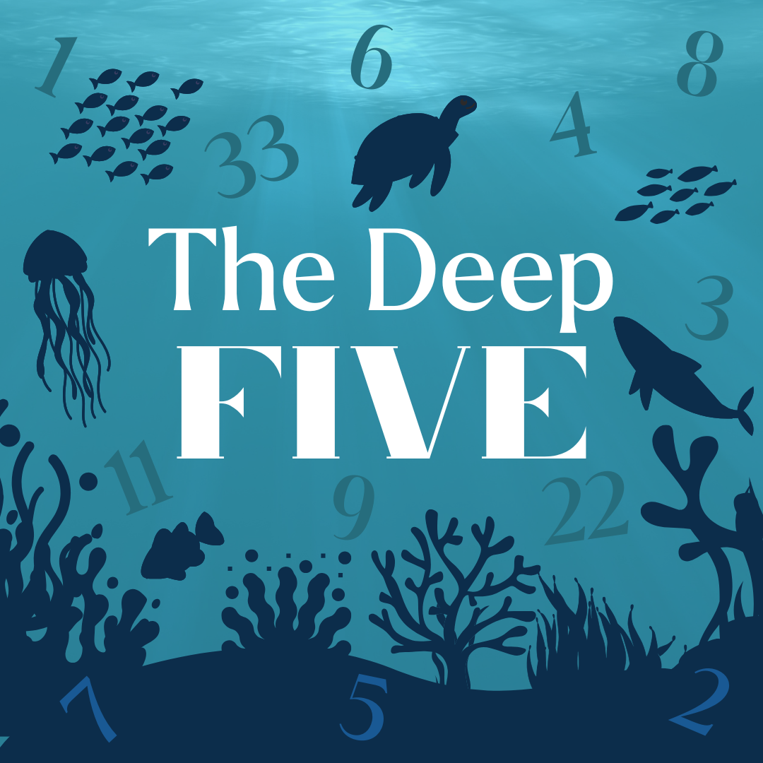 🔮 The Deep Five: Your Core Numerology Blueprint 🔮