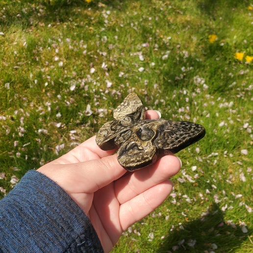 Gold Sheen Obsidian Skull Butterflies
